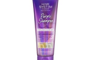 Watsons Hair system Anti Brassiness Purple Shampoo 250ml