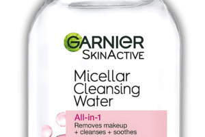 Garnier Micellar Cleansing Water All-in-1 100 ml